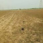 1 Ground Approved Land for Sale in Royal Majestic, Nemili