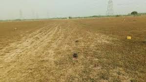 1 Ground Approved Land for Sale in Royal Majestic, Nemili